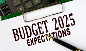 Pre-Budget-Expectations-2025-from-the-Industry-leaders