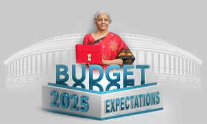 Pre-Budget-Expectations-2025-from-the-Industry-leaders (1)